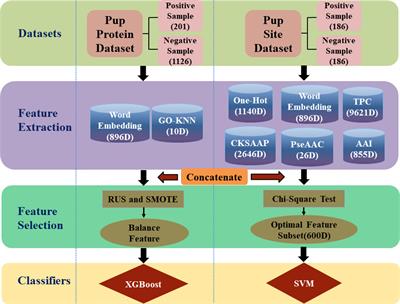 Identifying Pupylation Proteins and Sites by Incorporating Multiple Methods